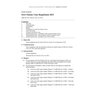 First Nations Voice Regulations 2023