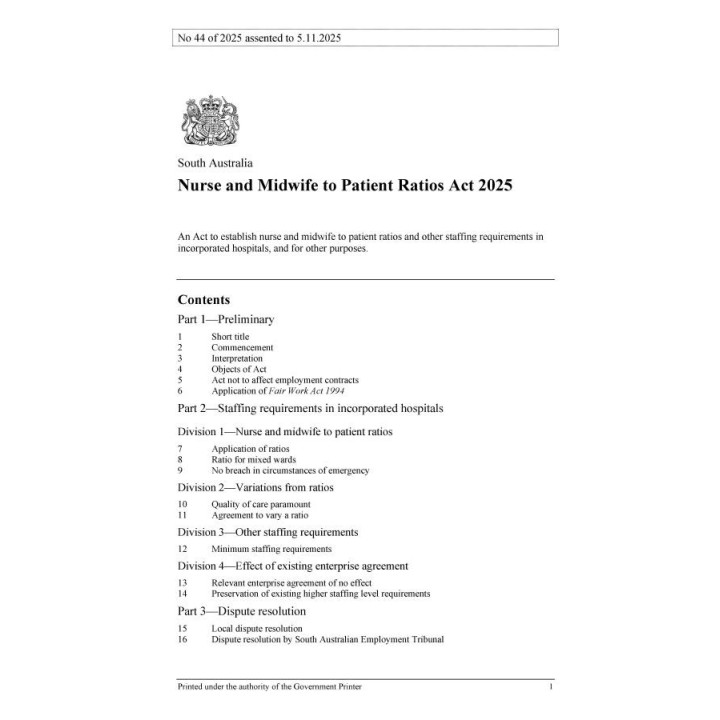 Nurse and Midwife to Patient Ratios Act 2025